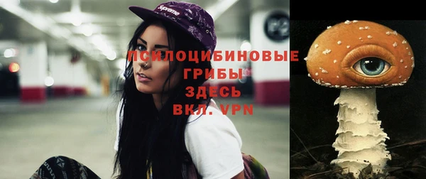 мефедрон Богородицк