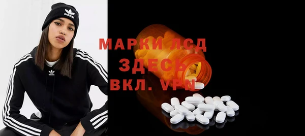спайс Богданович