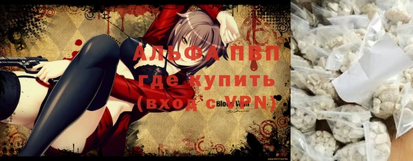 спайс Богданович