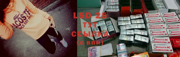 спайс Богданович