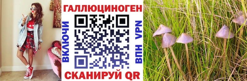 Галлюциногенные грибы Cubensis Нарткала
